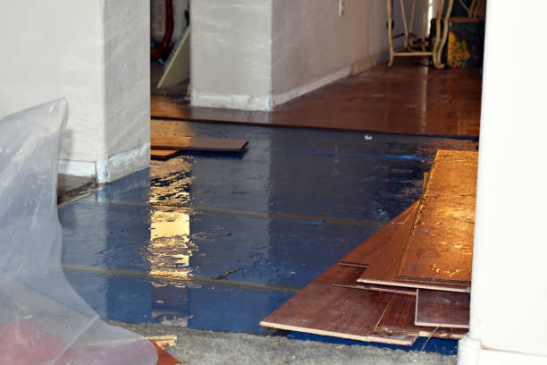 Professional Burst Pipe Cleanup technician working in Gardendale, TX